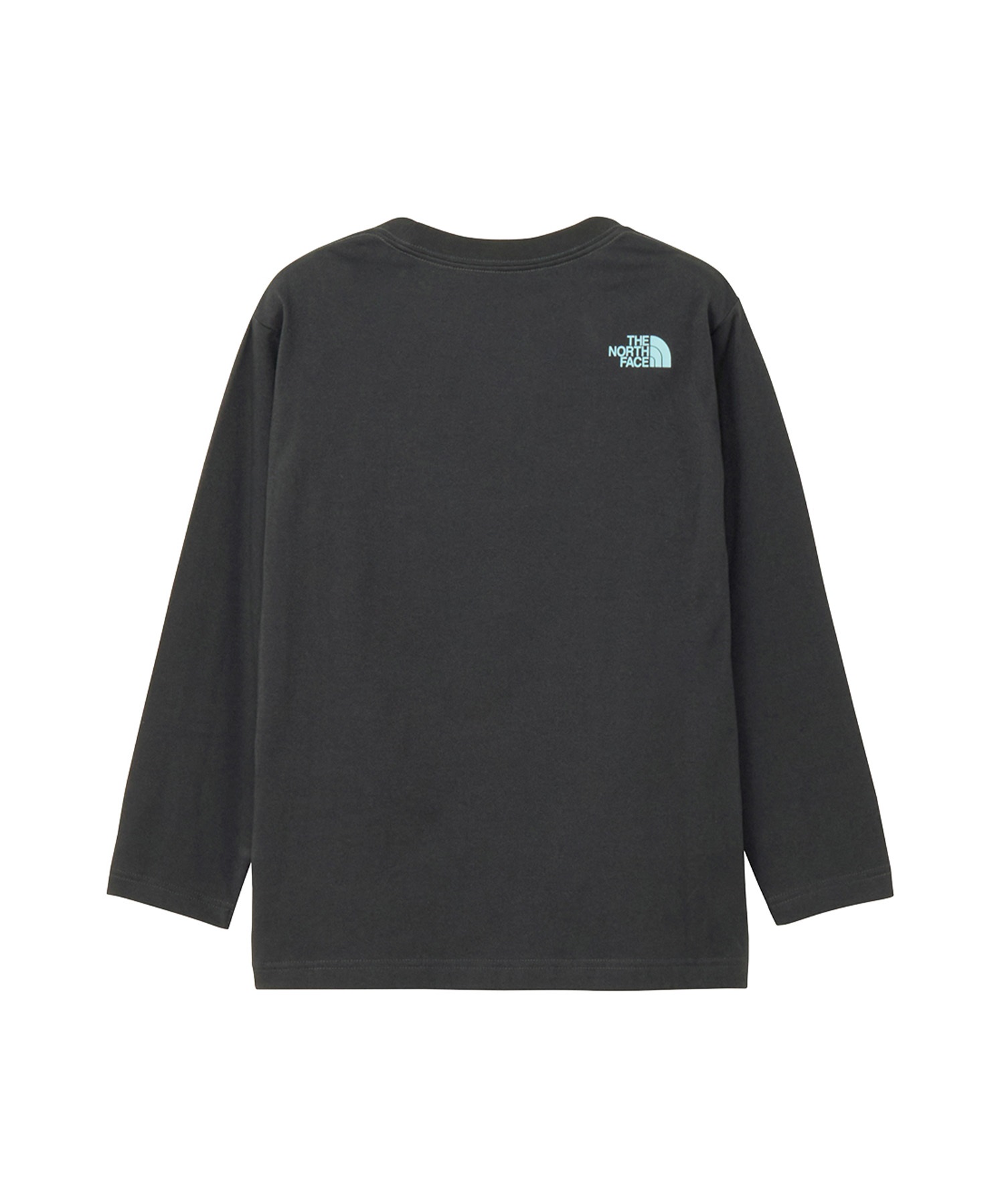 THE NORTH FACE ザ・ノース・フェイス 長袖 Tシャツ ロンT キッズ 子供