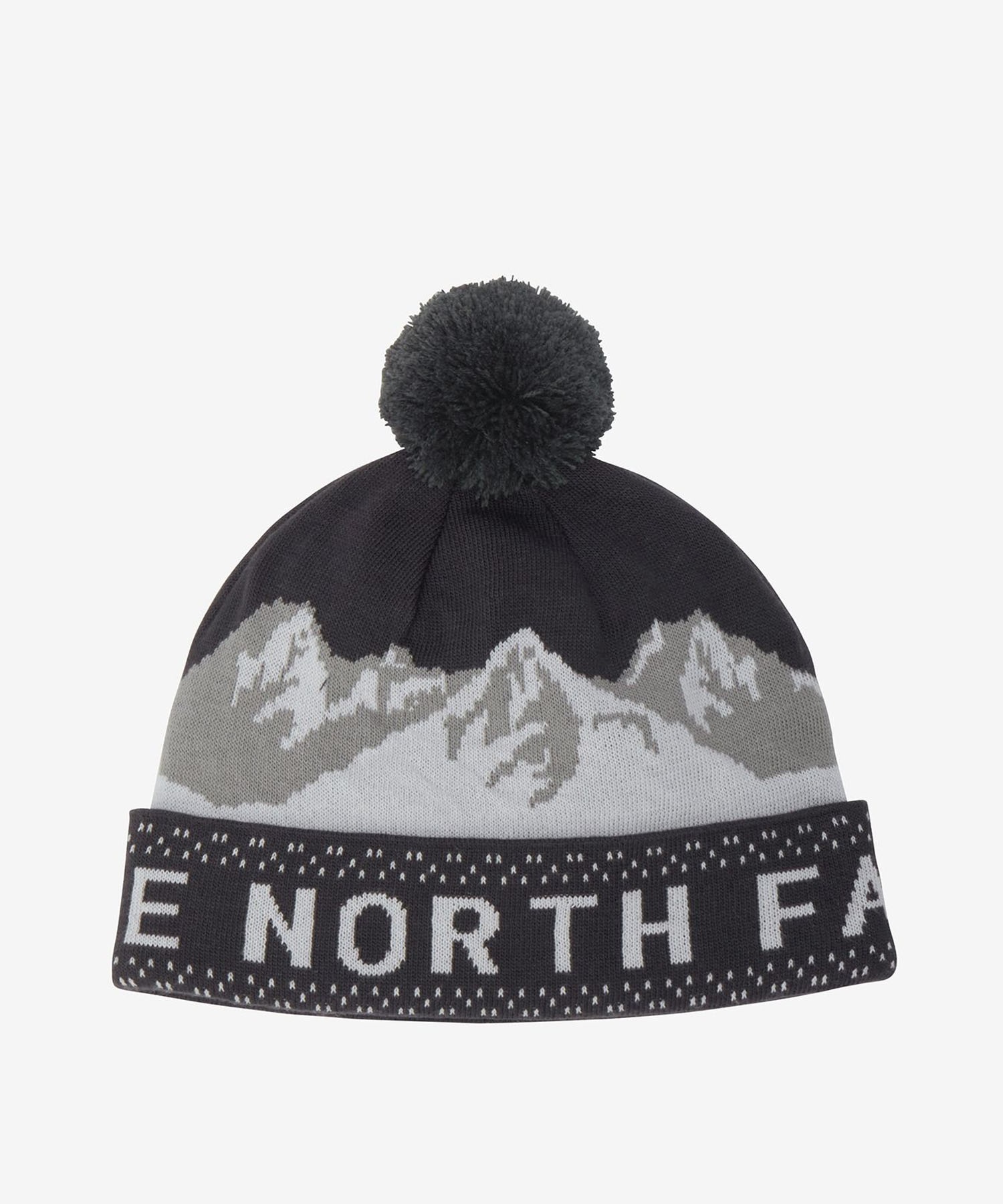 THE NORTH FACE ザ・ノース・フェイス ニット帽 ビーニー ニット