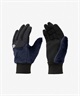 THE NORTH FACE ザ・ノース・フェイス 手袋 デナリイーチップグローブ NN62522(YO-S)