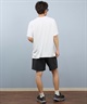 Hurley ハーレー 水着 ラッシュガード 半袖 Tシャツ メンズ 水陸両用 UVカット ロゴ MSRG251006(WHT-S)