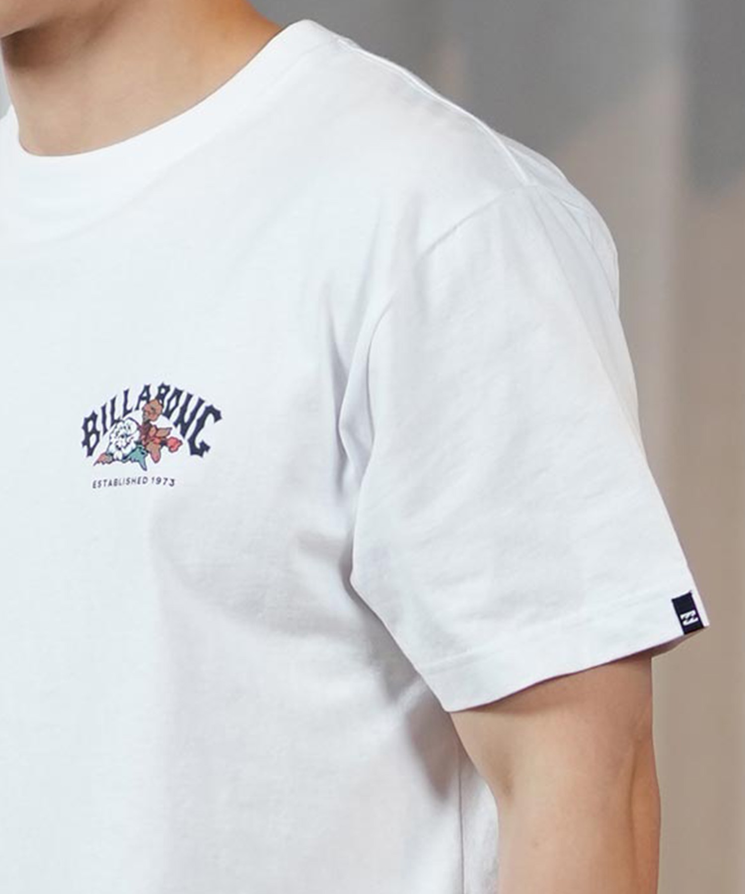 BILLABONG ビラボン 半袖 Tシャツ メンズ バックプリント レギュラーフィット THEME ARCH BF011-202(WHT-M)