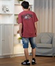 BILLABONG ビラボン 半袖 Tシャツ メンズ バックプリント レギュラーフィット THEME ARCH BF011-202(WHT-M)
