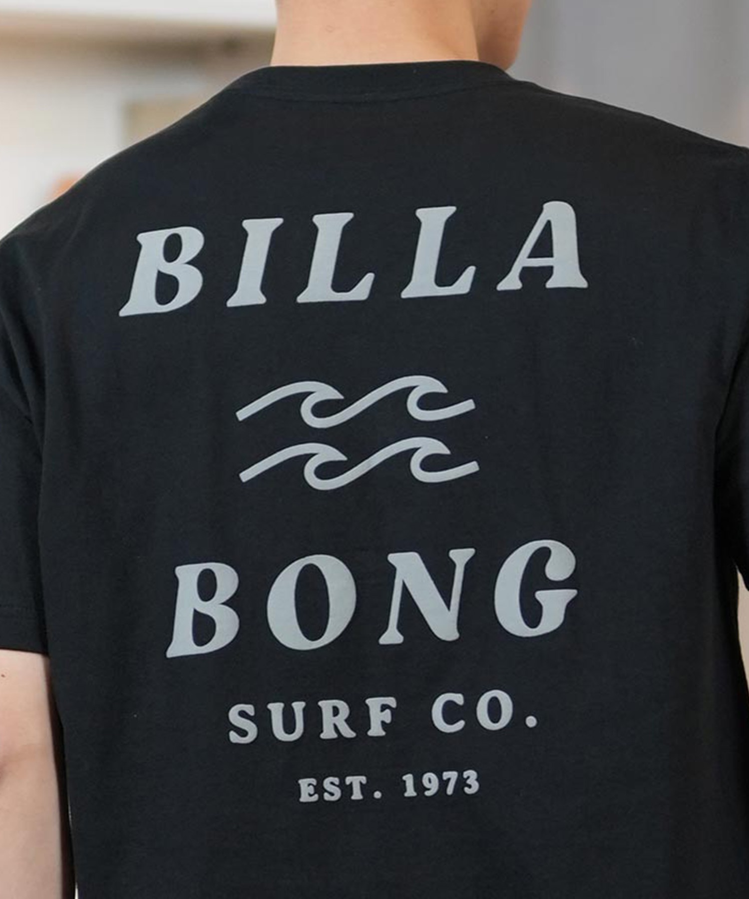 BILLABONG ビラボン 半袖 Tシャツ メンズ バックプリント レギュラーフィット ONE TIME BF011-203(WTB-S)