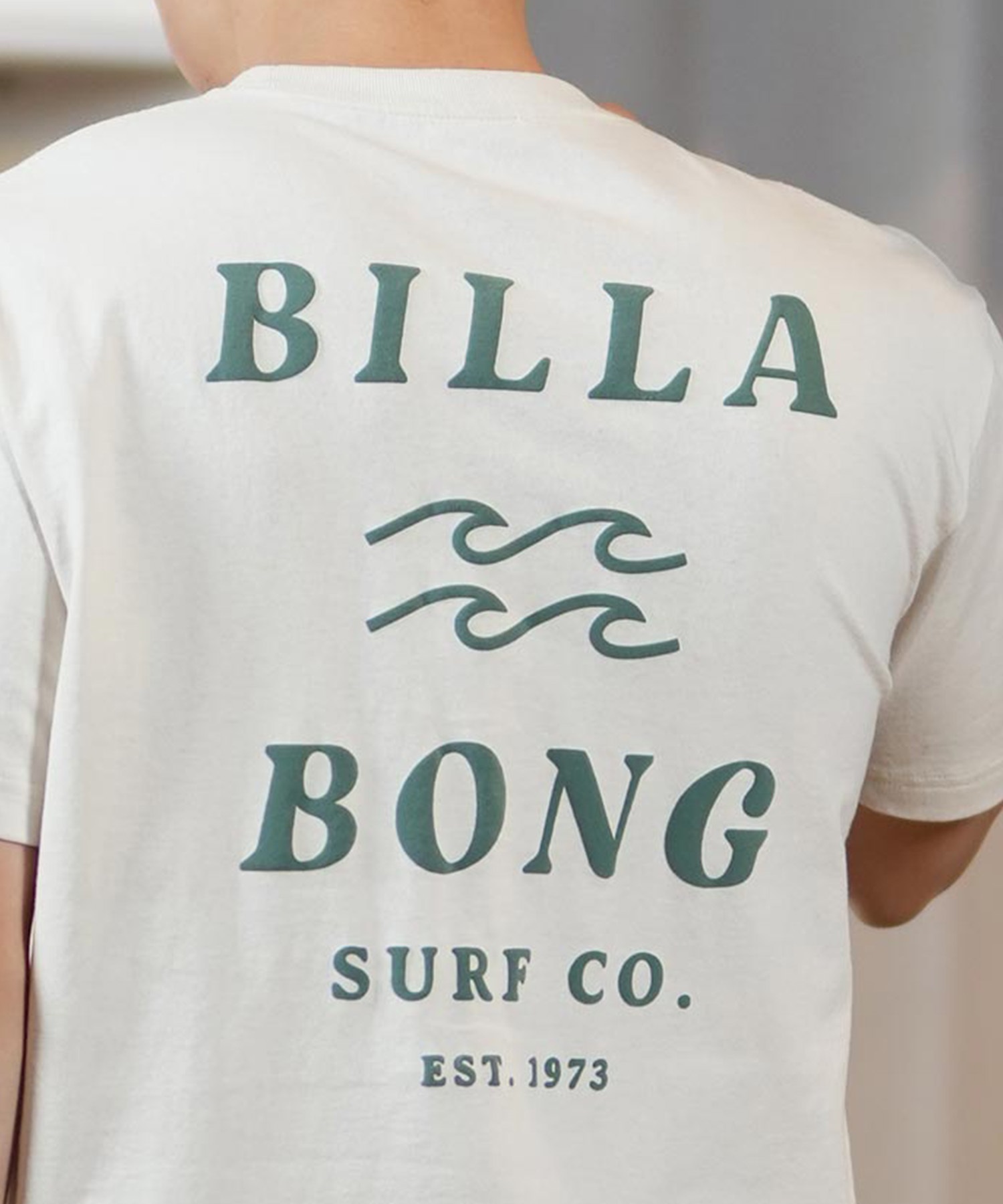 BILLABONG ビラボン 半袖 Tシャツ メンズ バックプリント レギュラーフィット ONE TIME BF011-203(WTB-S)