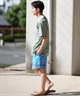 BILLABONG ビラボン ラッシュガード 半袖 メンズ Tシャツ バックプリント 水陸両用 UVカット SURF FLEX TEE BF011-858(WHT-M)