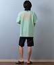 BILLABONG ビラボン 水着 ラッシュガード 半袖 Tシャツ メンズ 水陸両用 吸水速乾 UVカット BF01A-857(BLK-M)