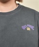 BILLABONG ビラボン 半袖 Tシャツ レディース クロップド丈 ショート丈 バックプリント ヴィンテージ風 BF01C-203(SCS-M)