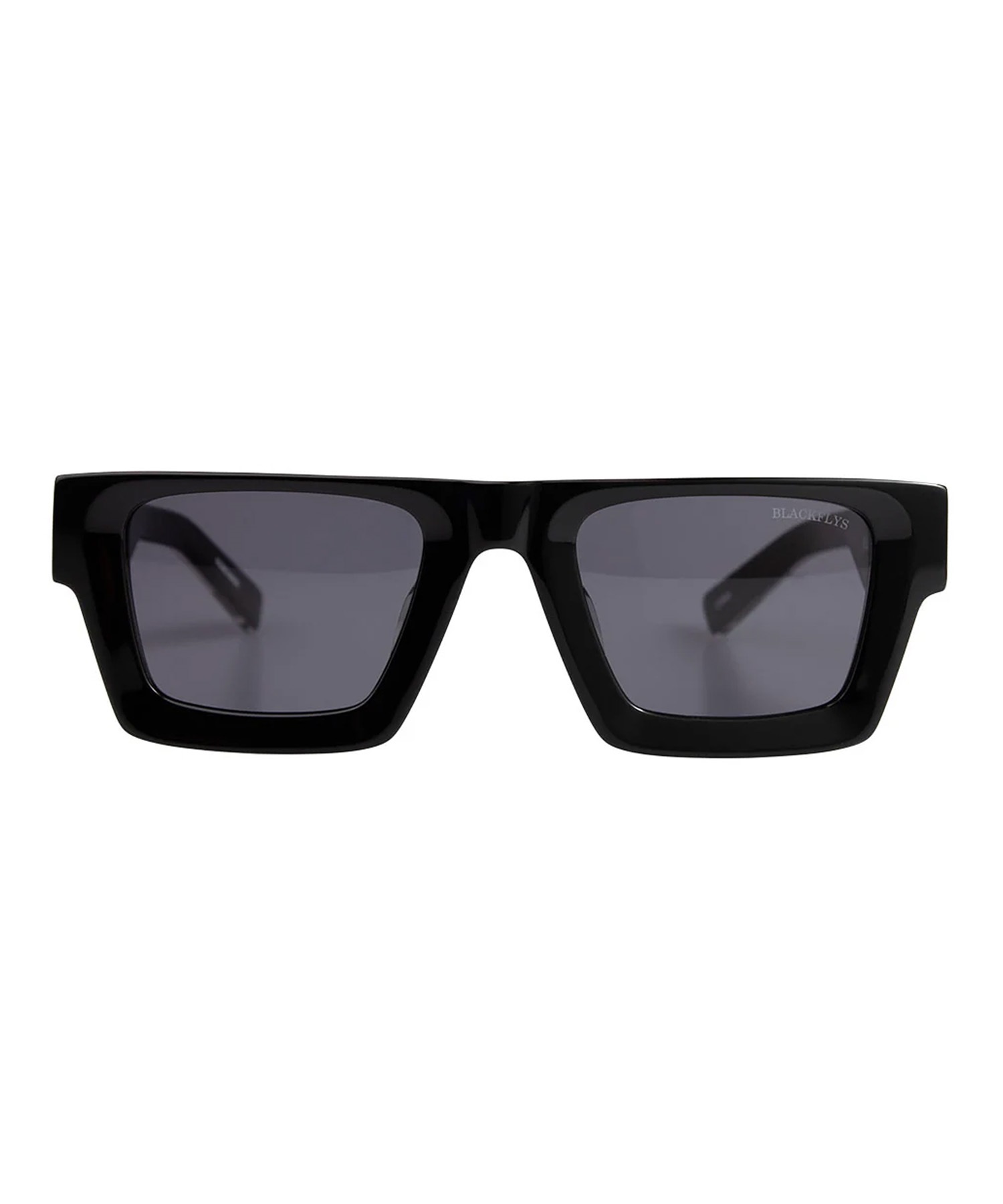 BLACK FLYS ブラックフライ サングラス FLY STINGRAY BF-15511-01