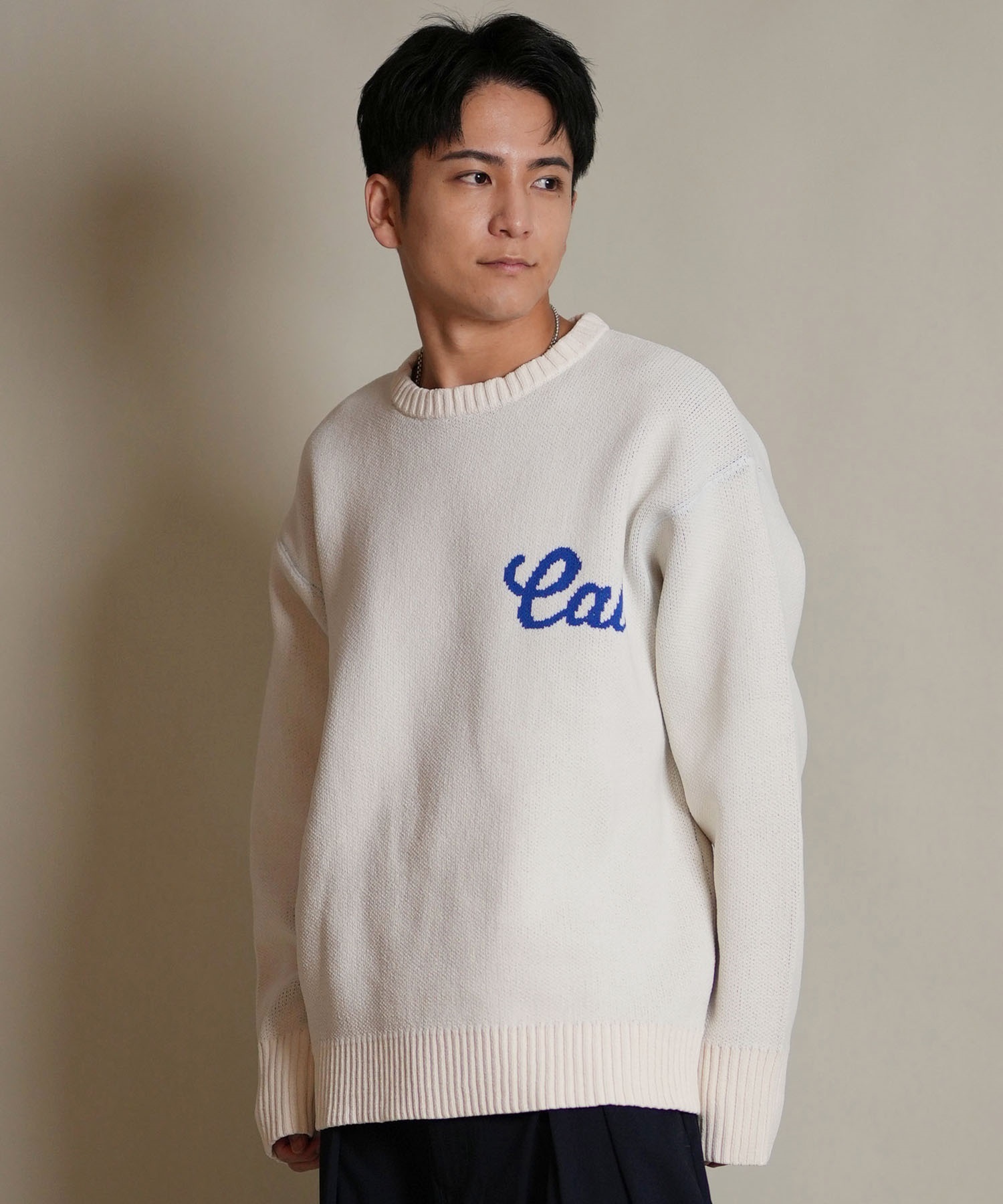 DEAR LAUREL ディアローレル ニット セーター メンズ CREW NECK KNIT CA D25F-1301(WHT-M)