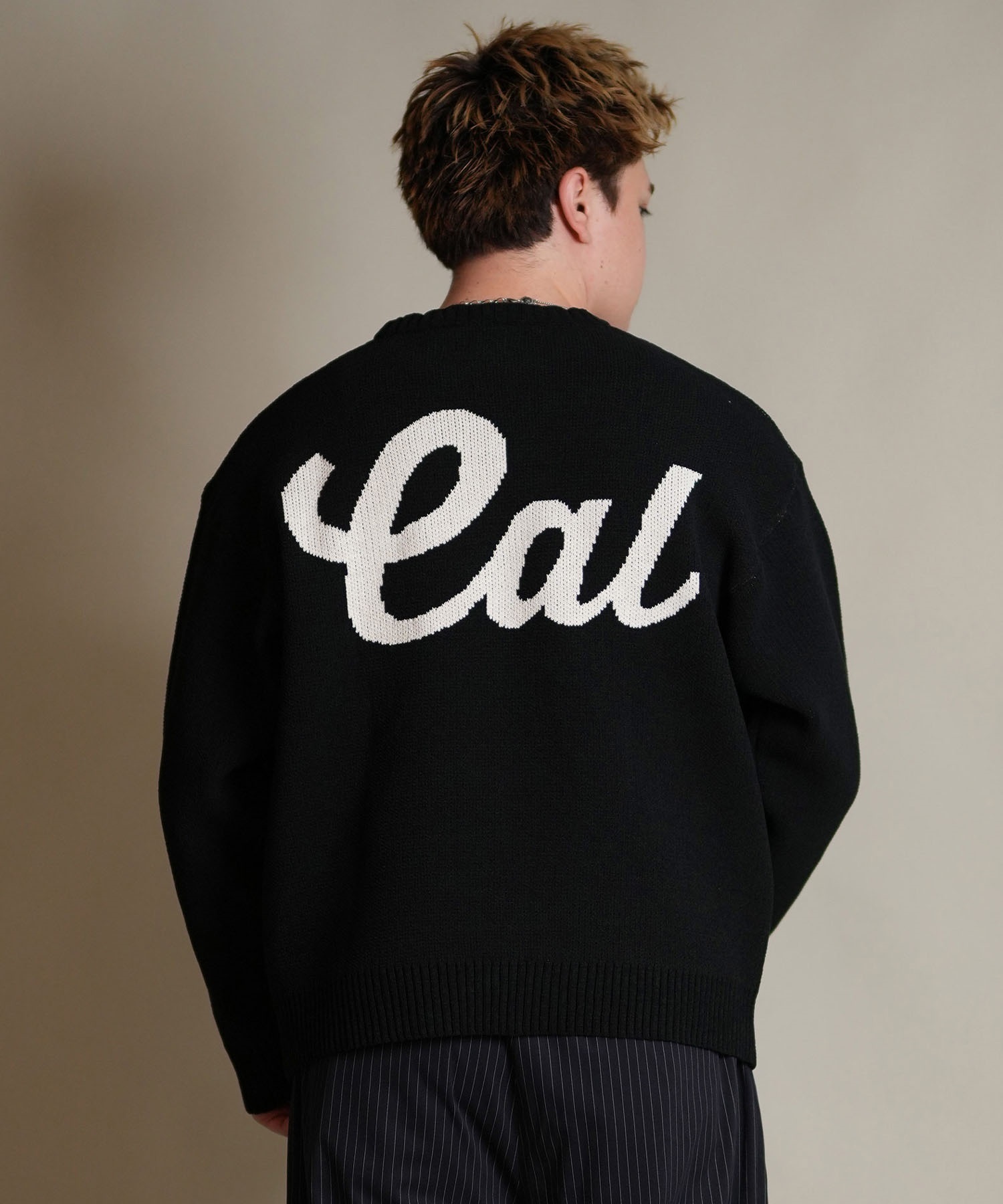 DEAR LAUREL ディアローレル ニット セーター メンズ CREW NECK KNIT