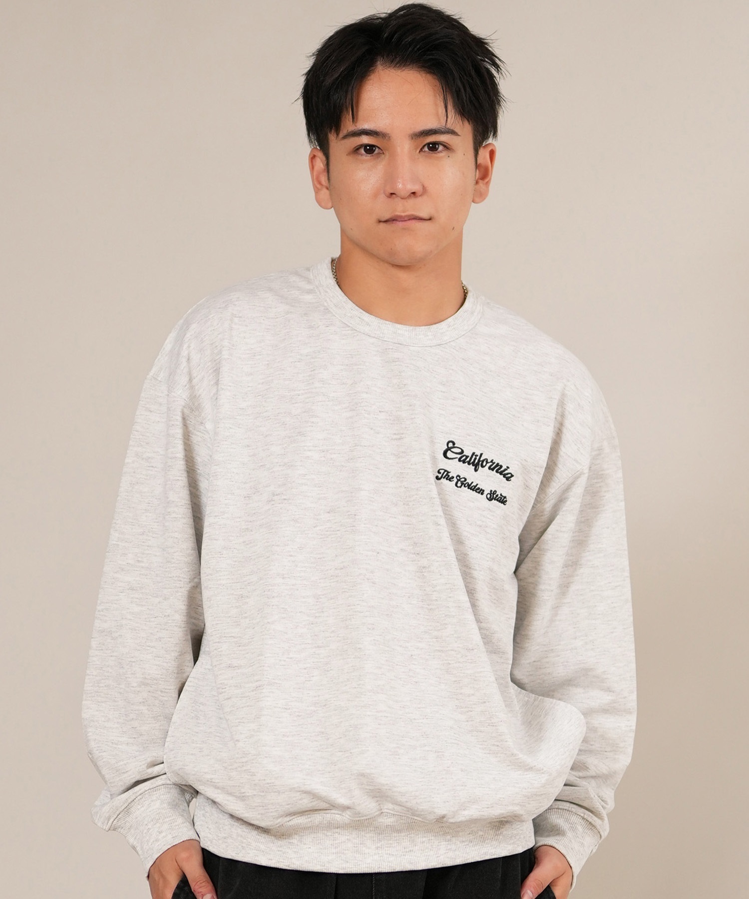 DEAR LAUREL ディアローレル トレーナー スウェット メンズ 刺? 速乾 軽量 薄手 D25F-2203 ムラサキスポーツ限定(GRAY-M)