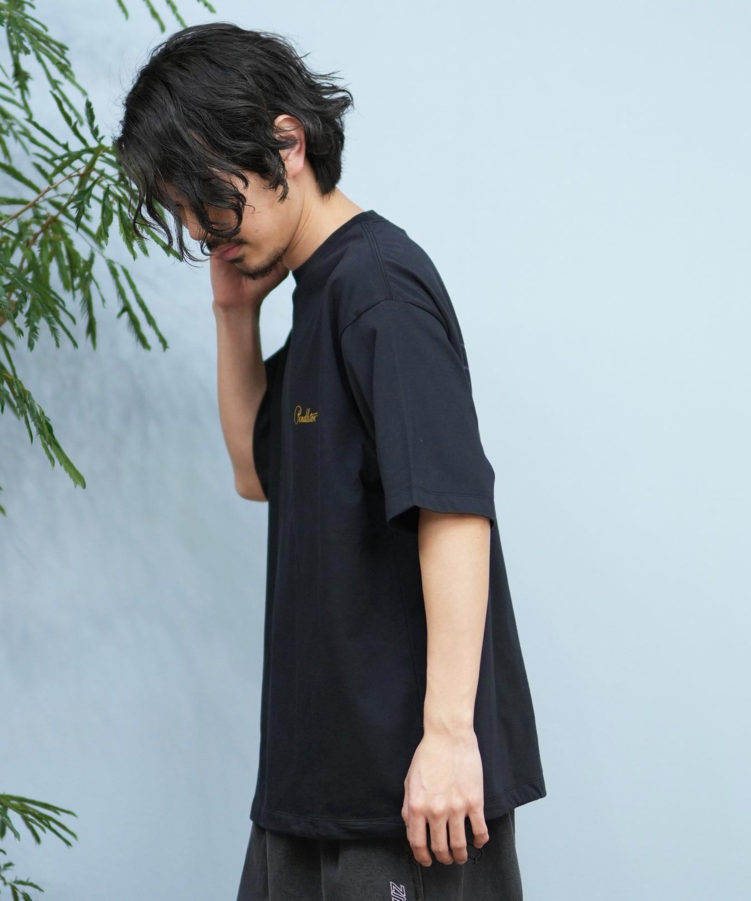 PENDLETON ペンドルトン 半袖 Tシャツ メンズ バックプリント 5275