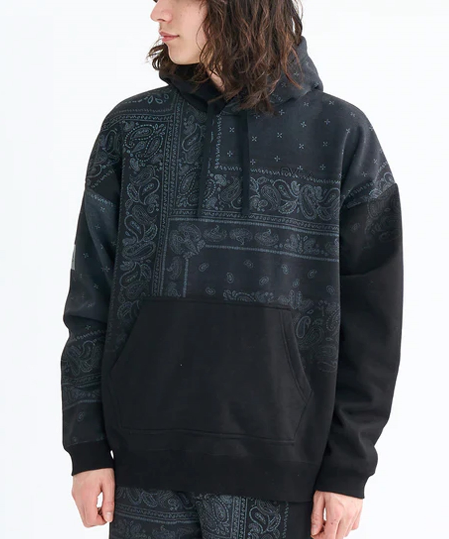 RVCA ルーカ プルオーバー パーカー メンズ バックプリント ロゴ 裏