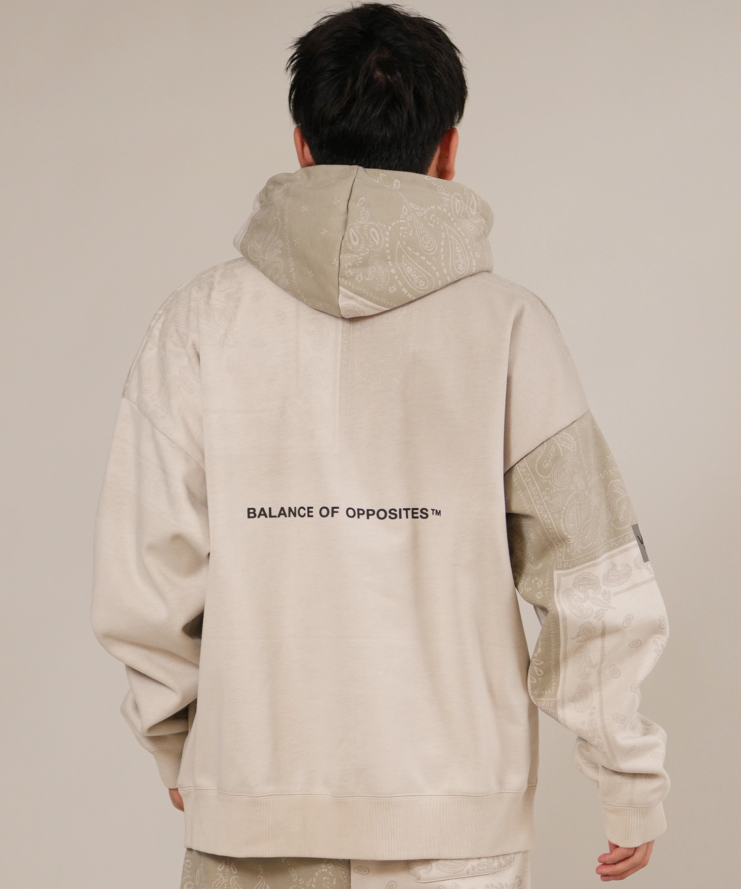 RVCA ルーカ プルオーバー パーカー メンズ バックプリント ロゴ 裏