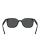 Ray-Ban レイバン サングラス UVカット 紫外線対策 0RB4461D601/87(01/87-ONE)