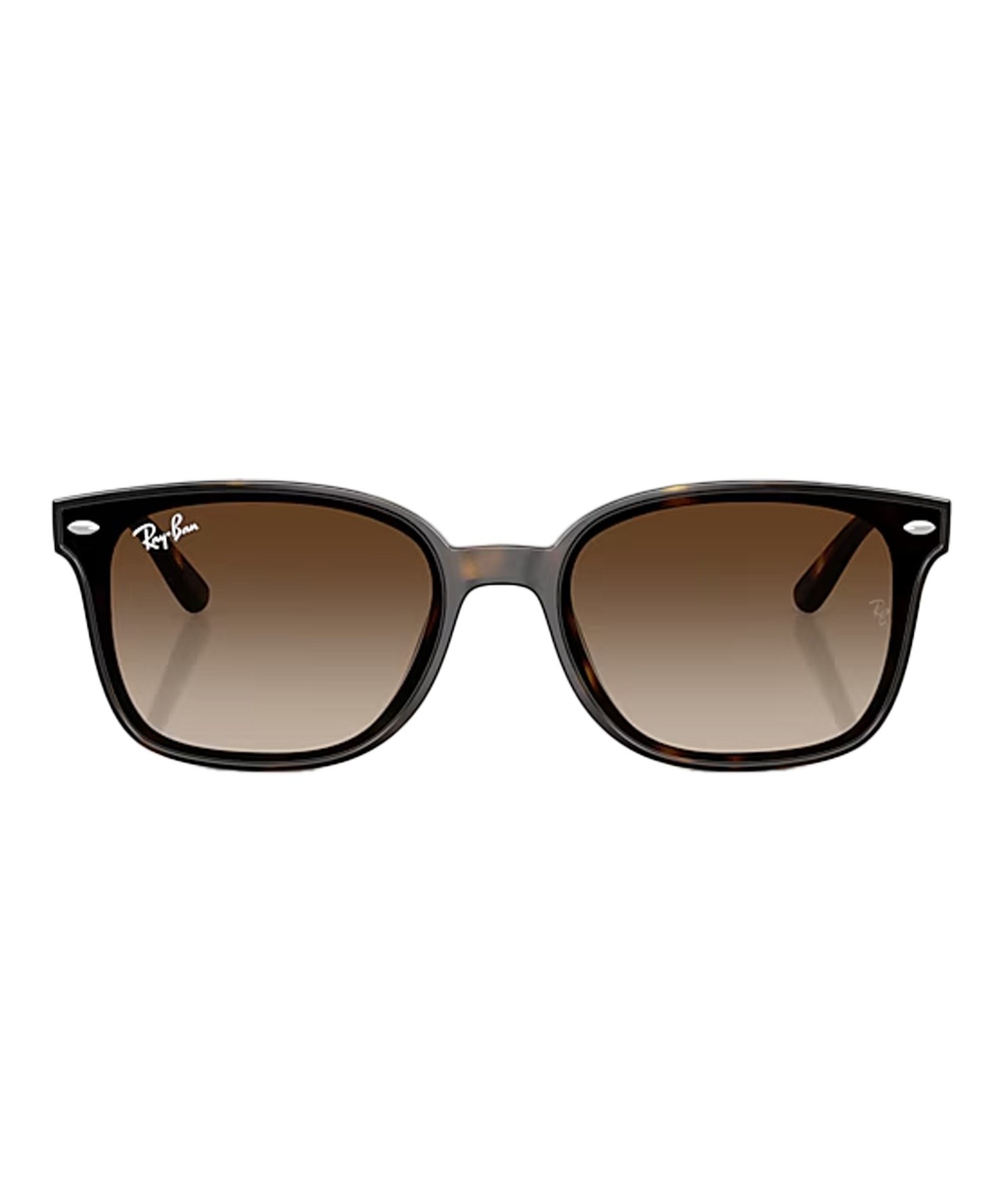 Ray-Ban レイバン サングラス UVカット 紫外線対策 0RB4461D710/13(10/13-ONE)
