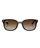 Ray-Ban レイバン サングラス UVカット 紫外線対策 0RB4461D710/13(10/13-ONE)