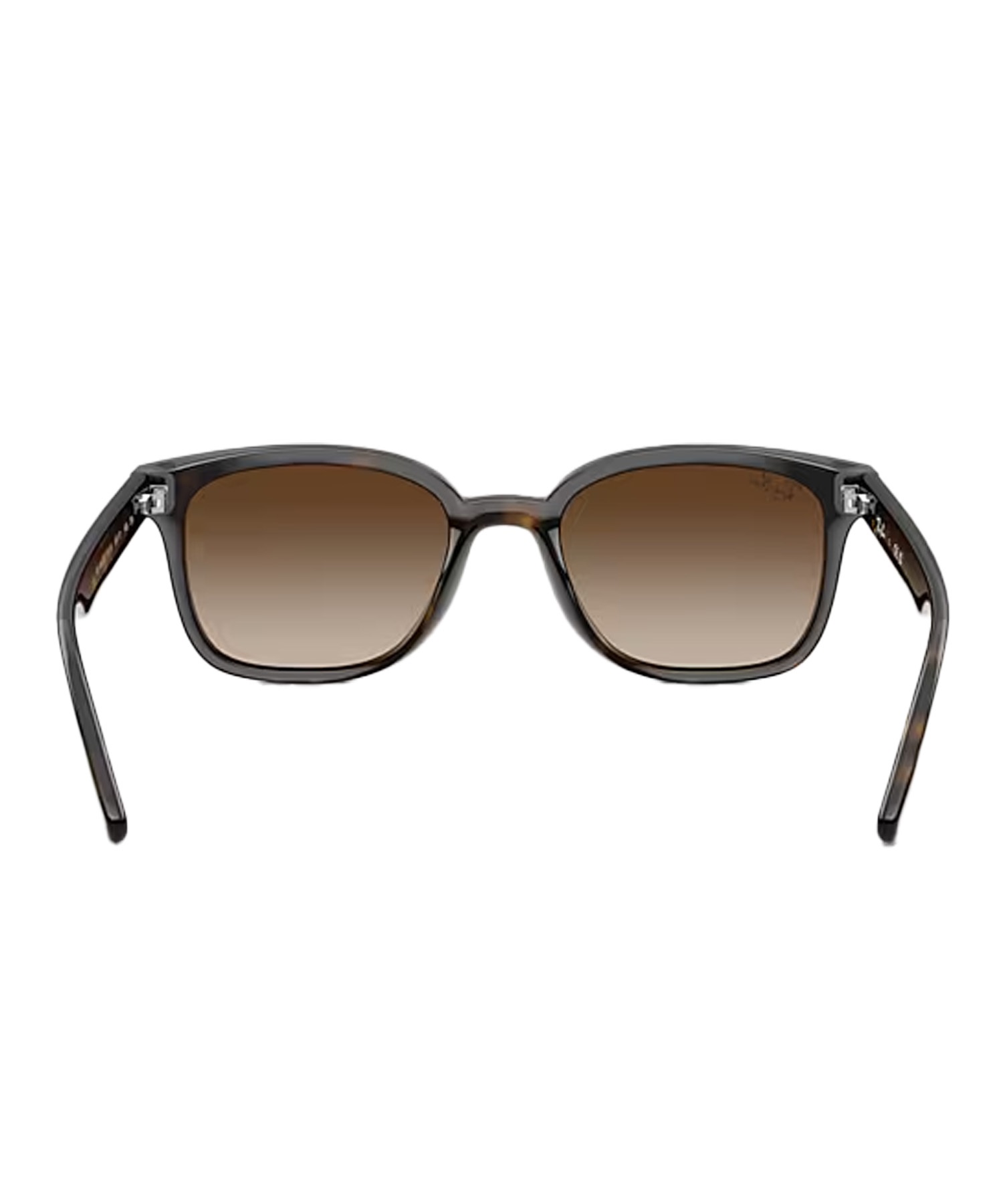 Ray-Ban レイバン サングラス UVカット 紫外線対策 0RB4461D710/13(10/13-ONE)