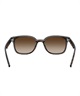 Ray-Ban レイバン サングラス UVカット 紫外線対策 0RB4461D710/13(10/13-ONE)