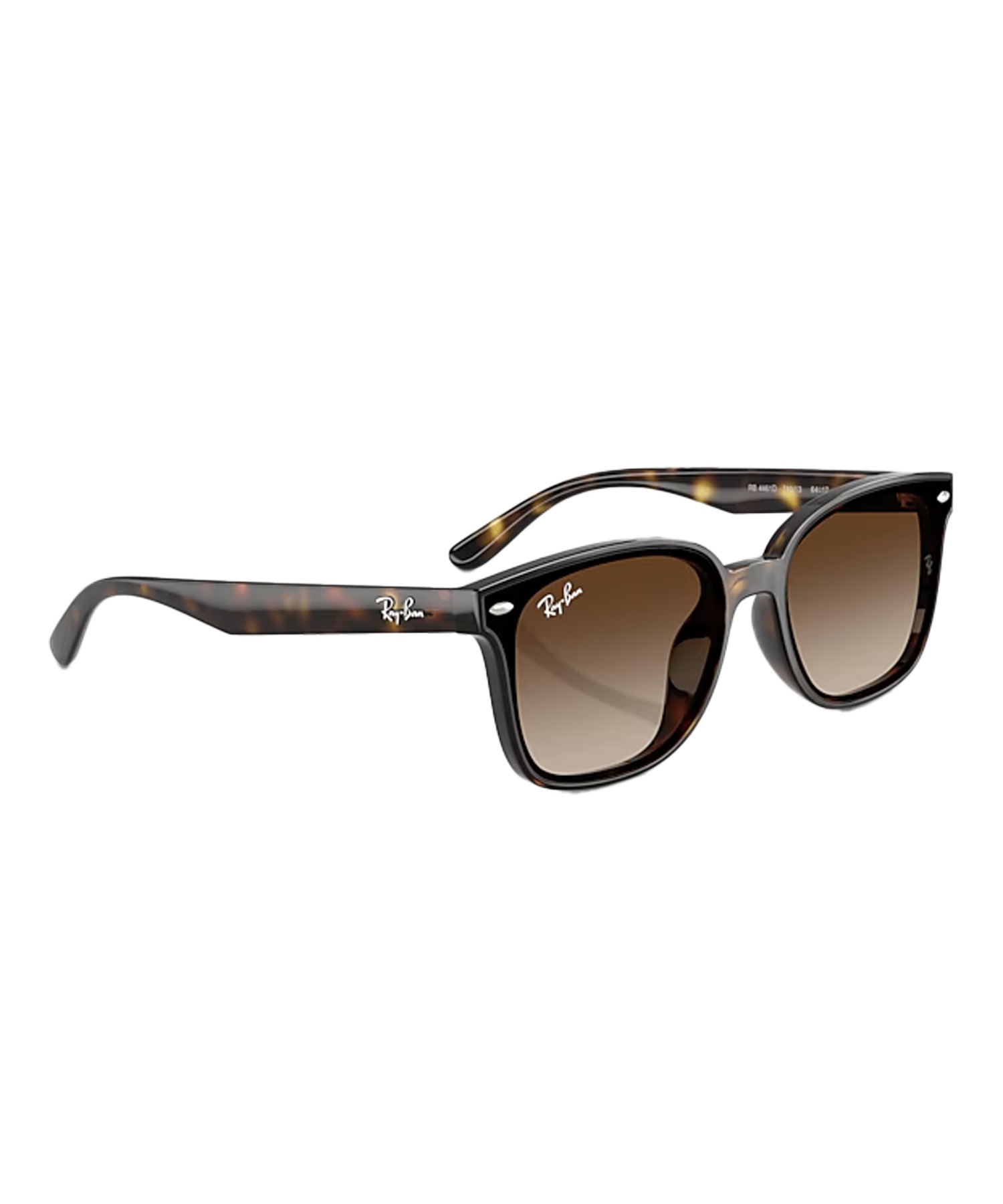 Ray-Ban レイバン サングラス UVカット 紫外線対策 0RB4461D710/13(10/13-ONE)
