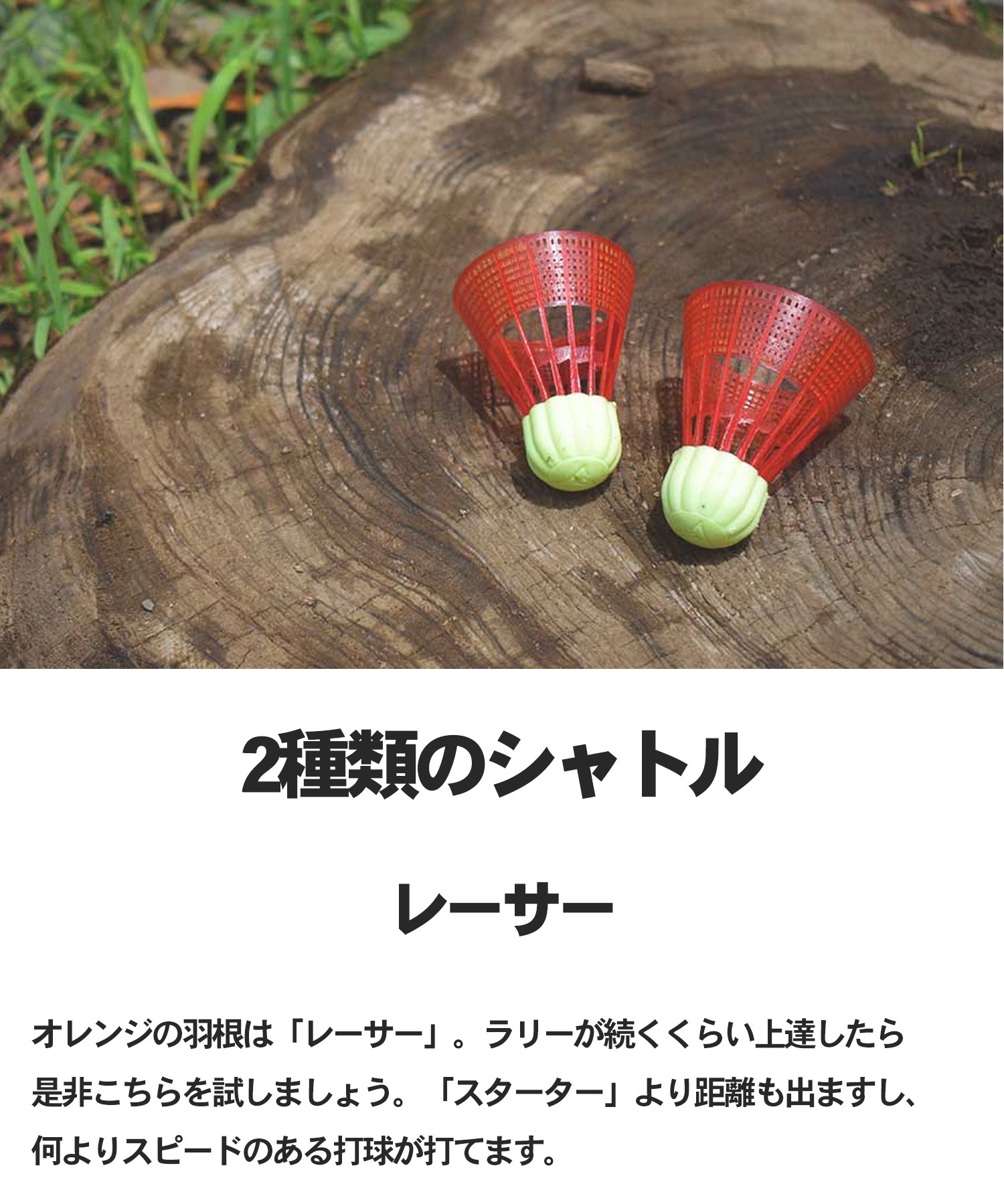 TALBOT TORRO タルボット トロ 街遊び 玩具 アウトドアバドミントン Speed 4400 ムラサキスポーツ(TQB-ONE)