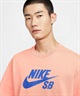NIKE SB ナイキエスビー 半袖 Tシャツ メンズ クルーネック ロゴ スケートボード Tシャツ CV7540-844(844-M)