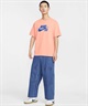 NIKE SB ナイキエスビー 半袖 Tシャツ メンズ クルーネック ロゴ スケートボード Tシャツ CV7540-844(844-M)