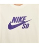 NIKE SB ナイキエスビー 半袖 Tシャツ メンズ ロゴ スケートボード Tシャツ CV7540-133(133-M)