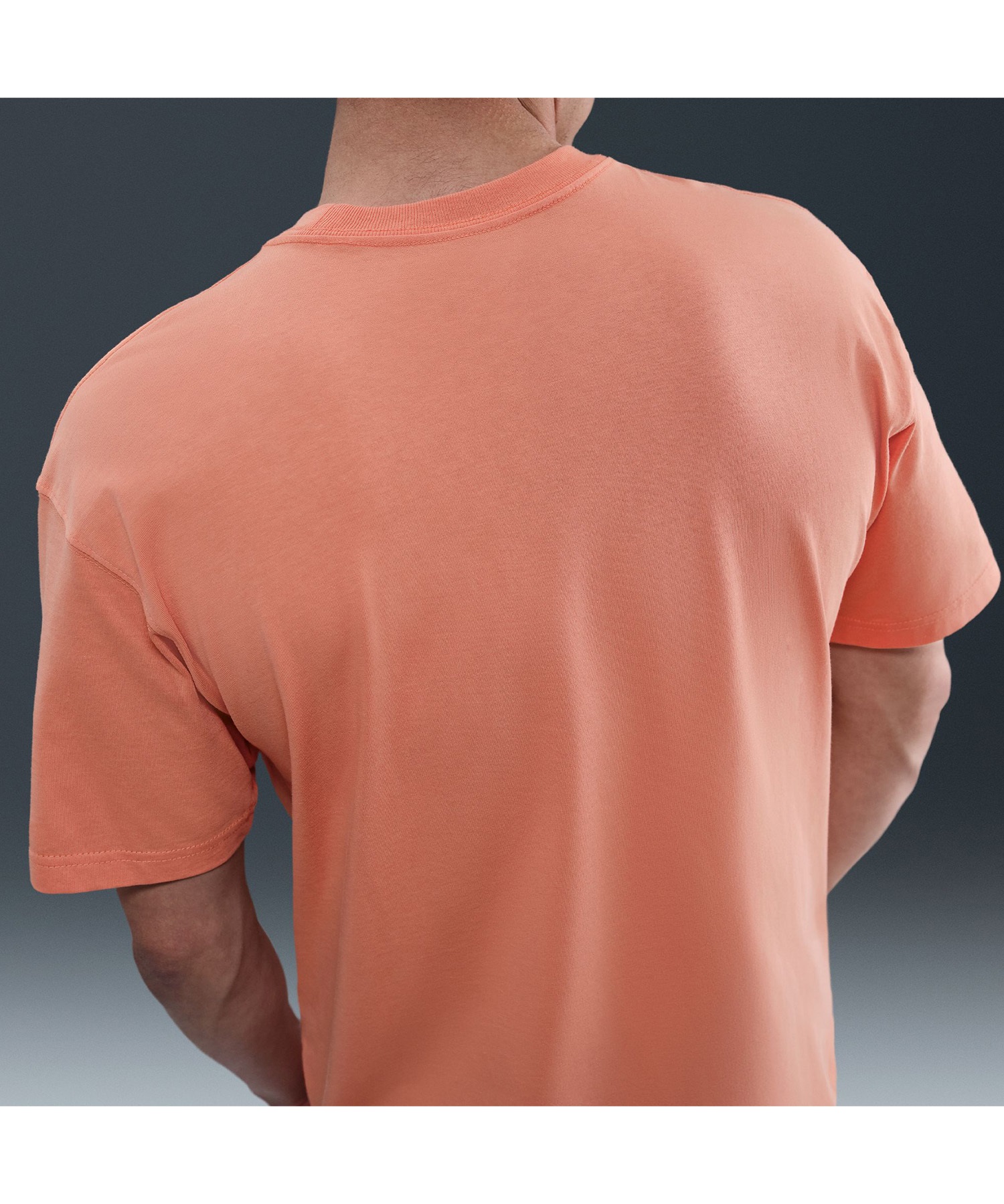 NIKE SB ナイキエスビー 半袖 Tシャツ メンズ バックプリント HJ0897-844(844-M)
