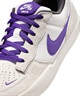 Nike SB ナイキ エスビー スニーカー メンズ レディース スケシュー ローカット SB FORCE 58 DV5477-006(006-23.0cm)