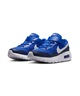 NIKE ナイキ スニーカー キッズ ジュニア 子供 靴 シューズ AIR MAX SC PSV CZ5356-402(402-17.0cm)
