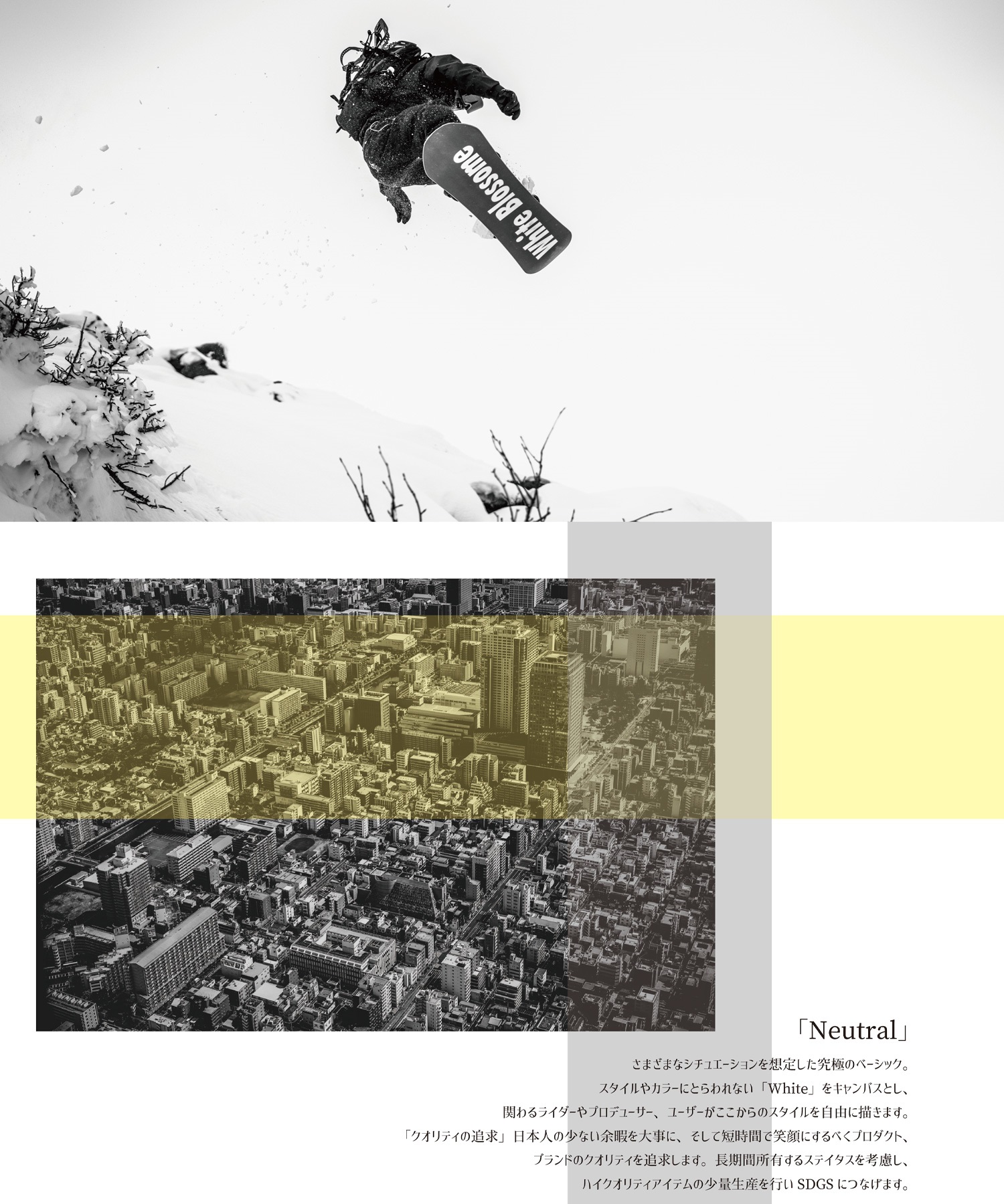 White Blossome ホワイトブロッサム スノーボード 板 メンズ Turning