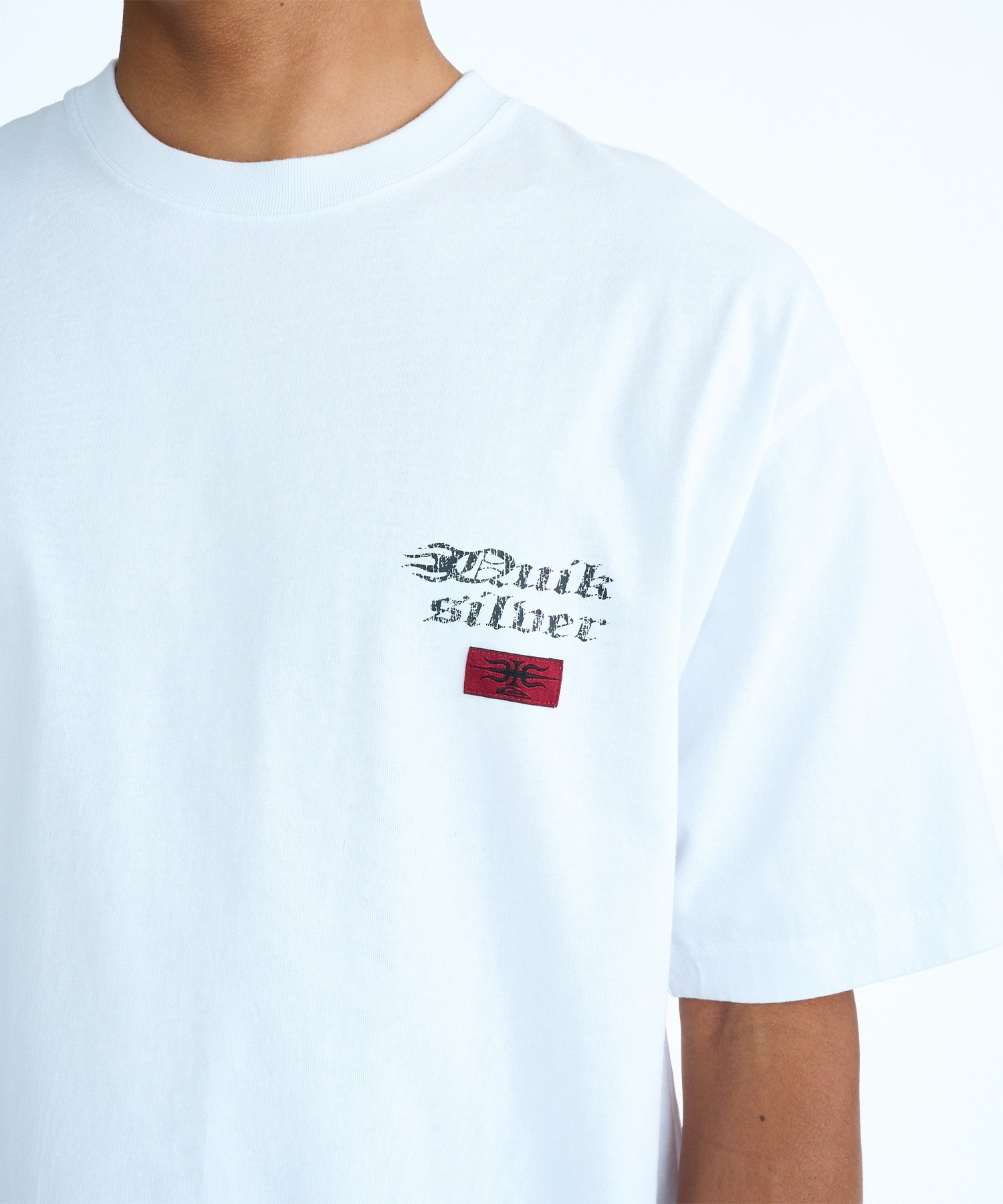 QUIKSILVER クイックシルバー 半袖 Tシャツ メンズ バックプリント BW