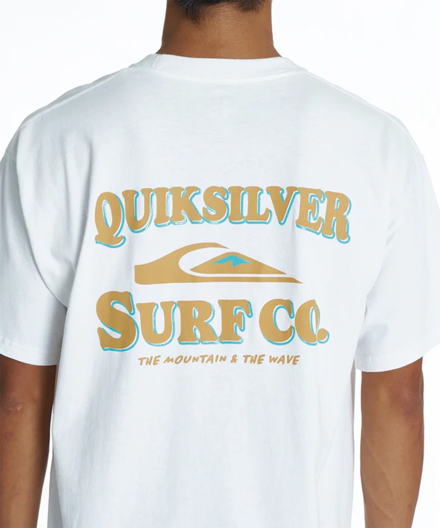 QUIKSILVER クイックシルバー 半袖 Tシャツ メンズ バックプリント