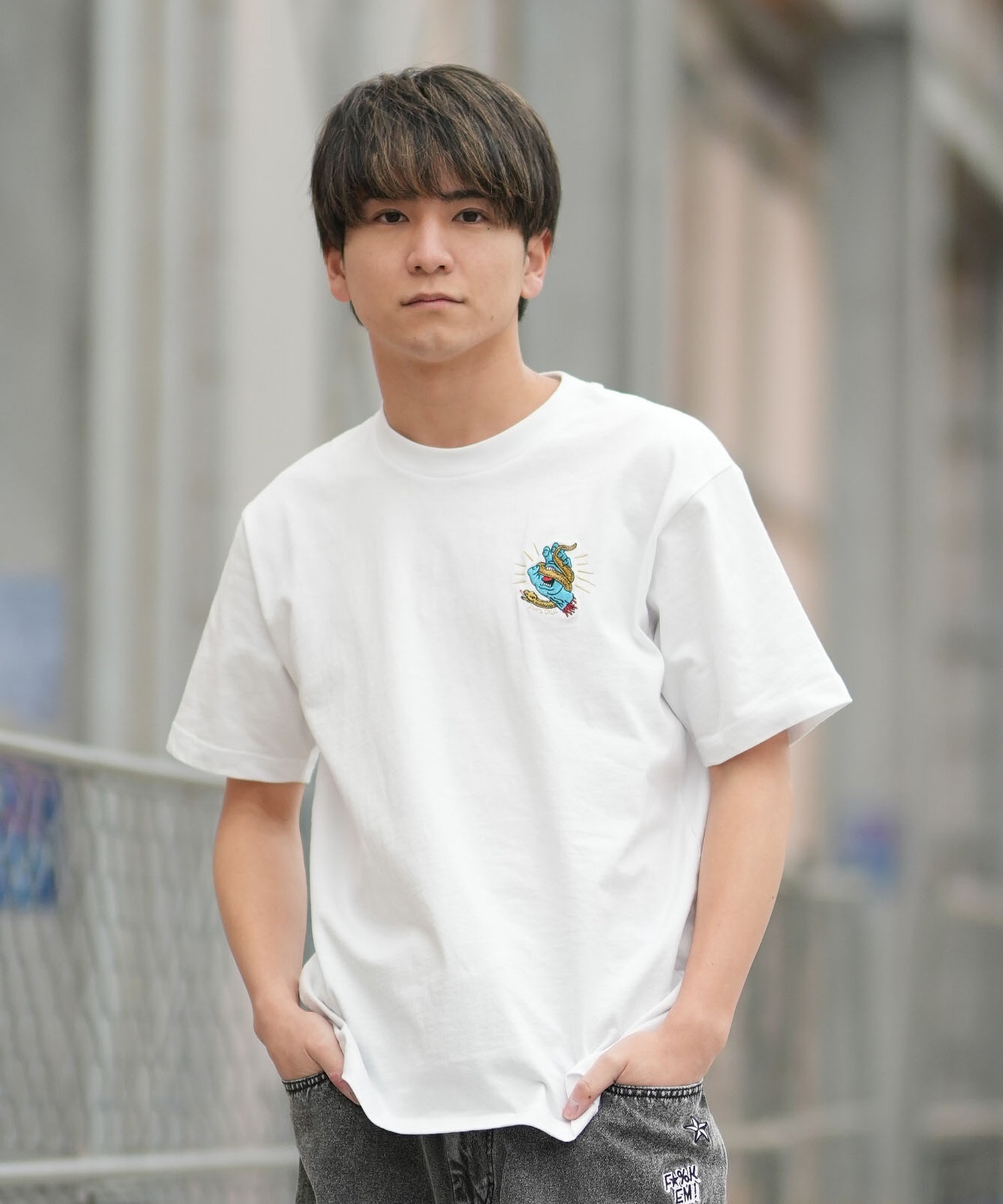 SANTA CRUZ サンタクルーズ 半袖 Tシャツ メンズ シンプル SNAKE BITE