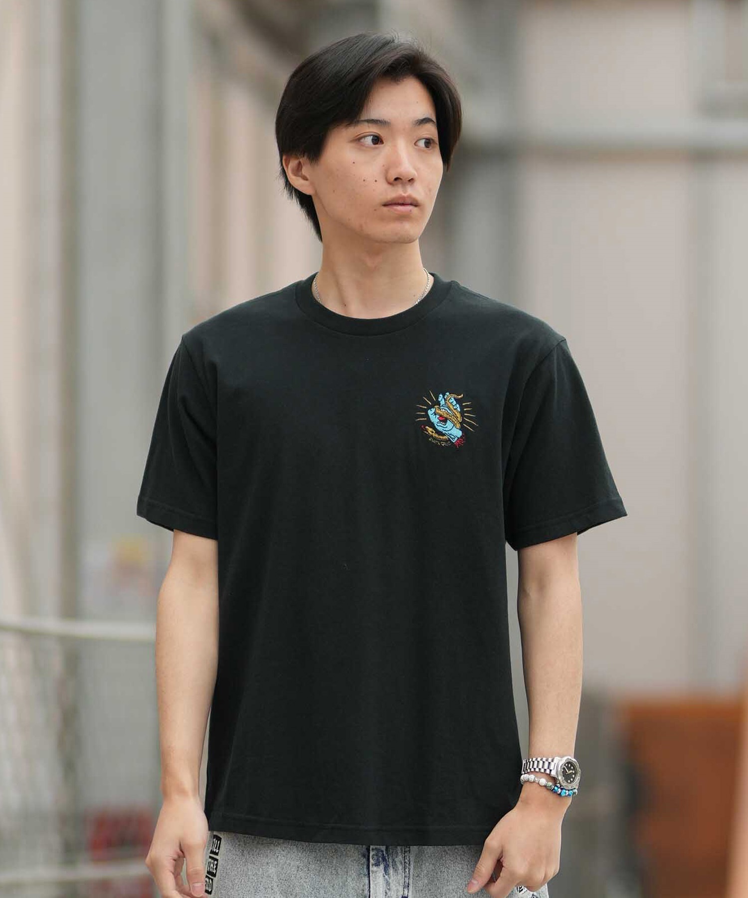 SANTA CRUZ サンタクルーズ 半袖 Tシャツ メンズ シンプル SNAKE BITE