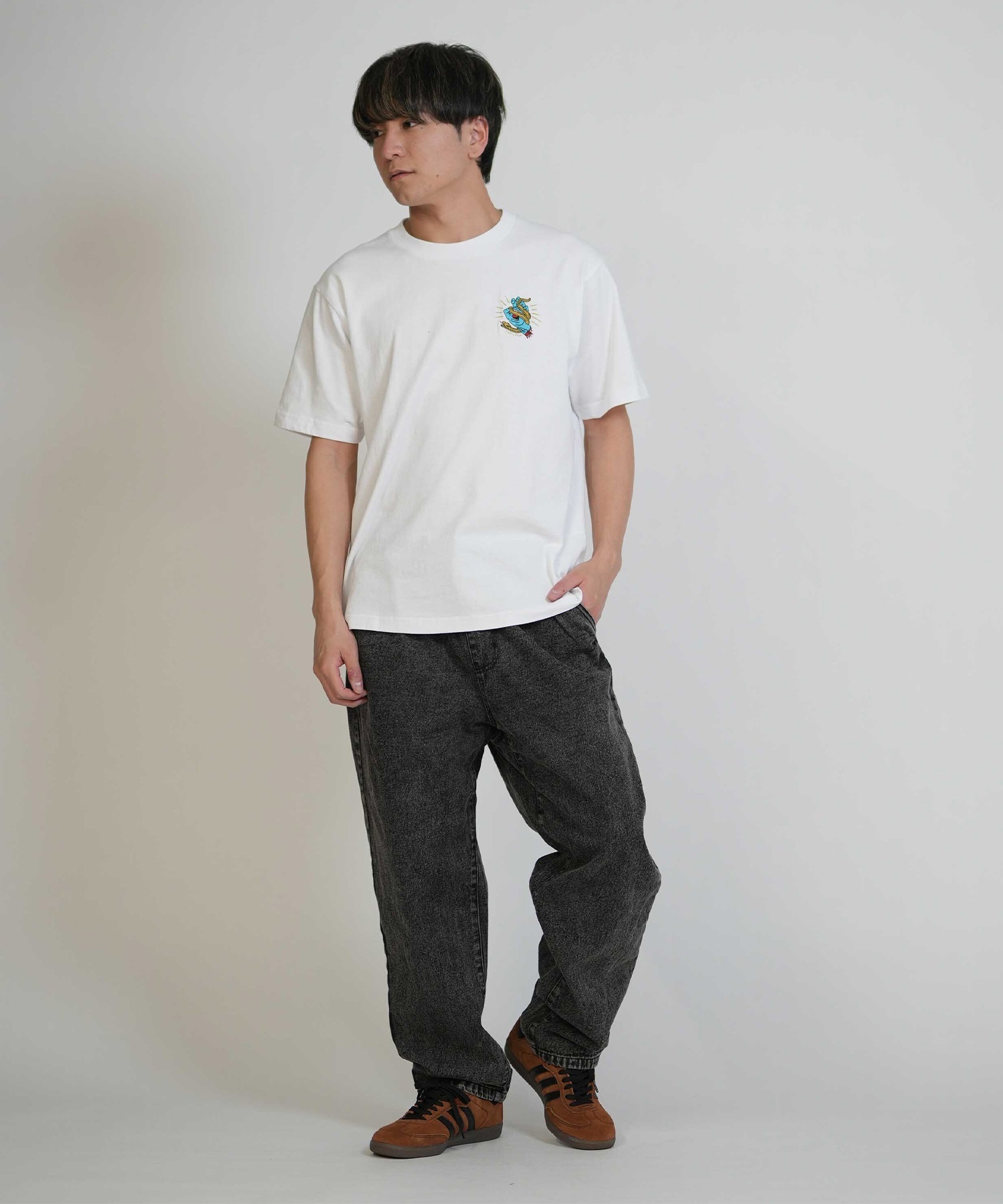 SANTA CRUZ サンタクルーズ 半袖 Tシャツ メンズ シンプル SNAKE BITE