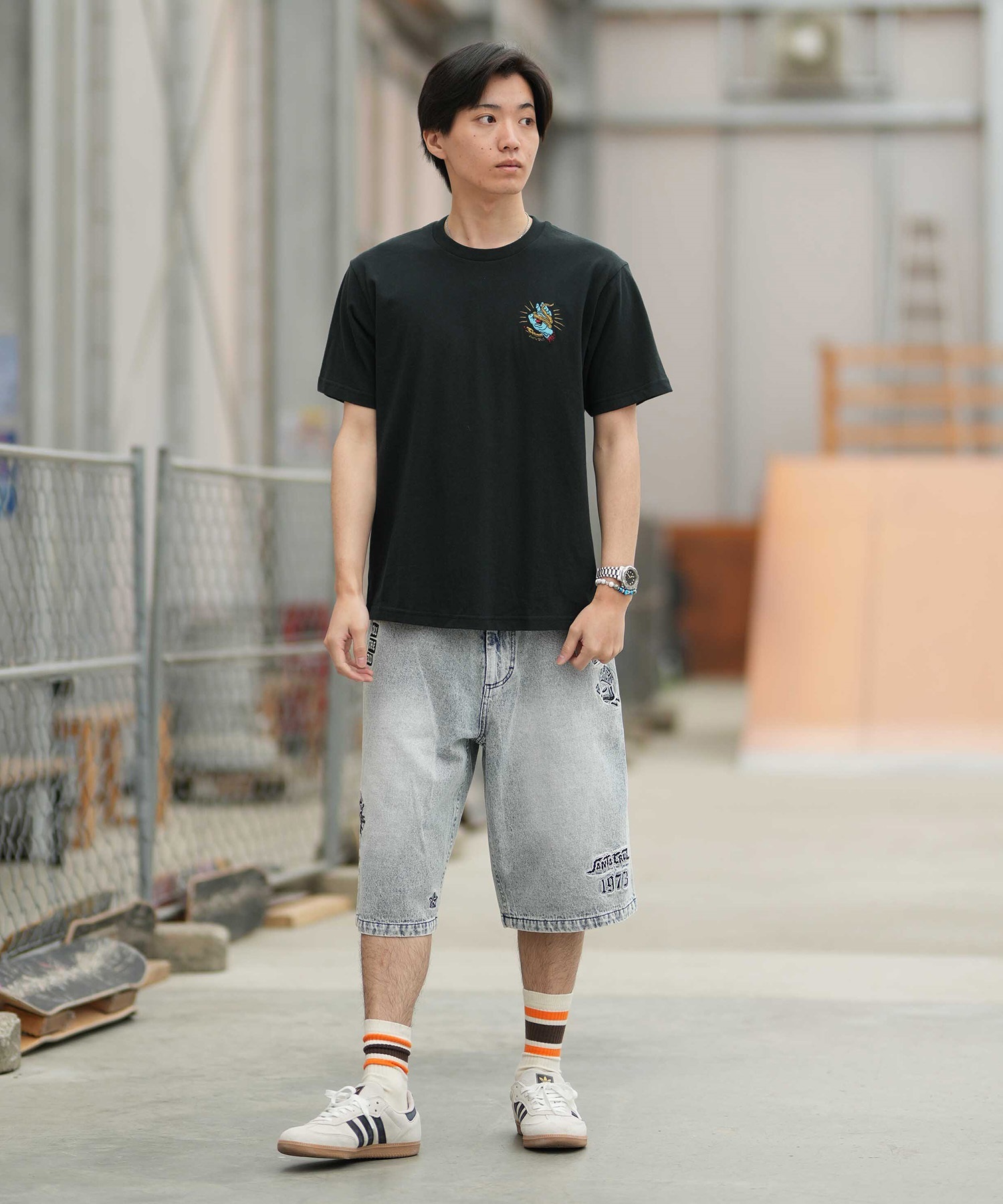 SANTA CRUZ サンタクルーズ 半袖 Tシャツ メンズ シンプル SNAKE BITE