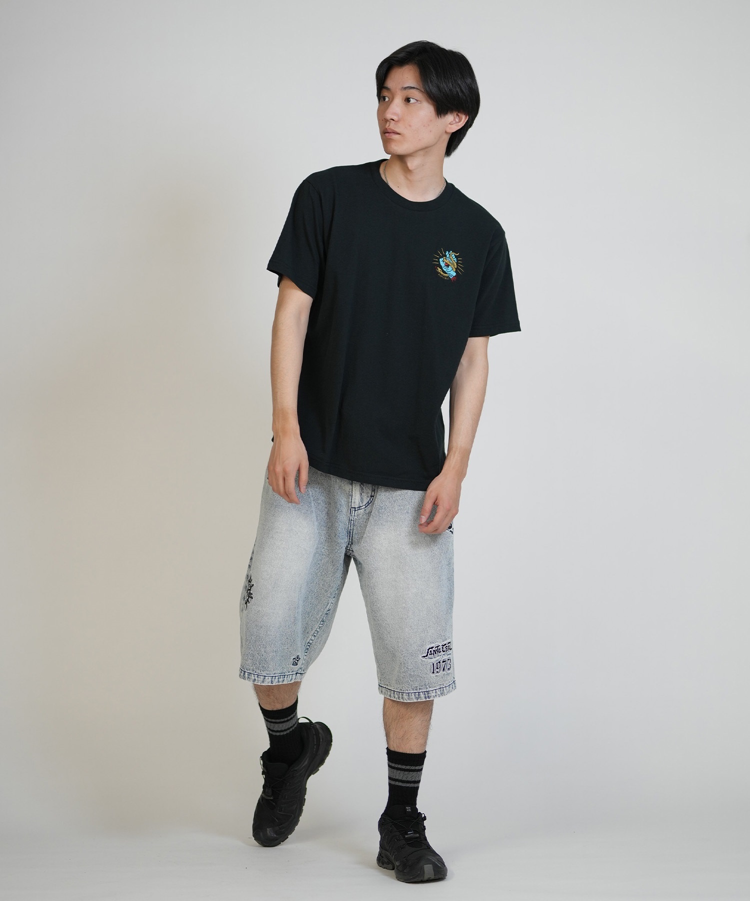 SANTA CRUZ サンタクルーズ 半袖 Tシャツ メンズ シンプル SNAKE BITE