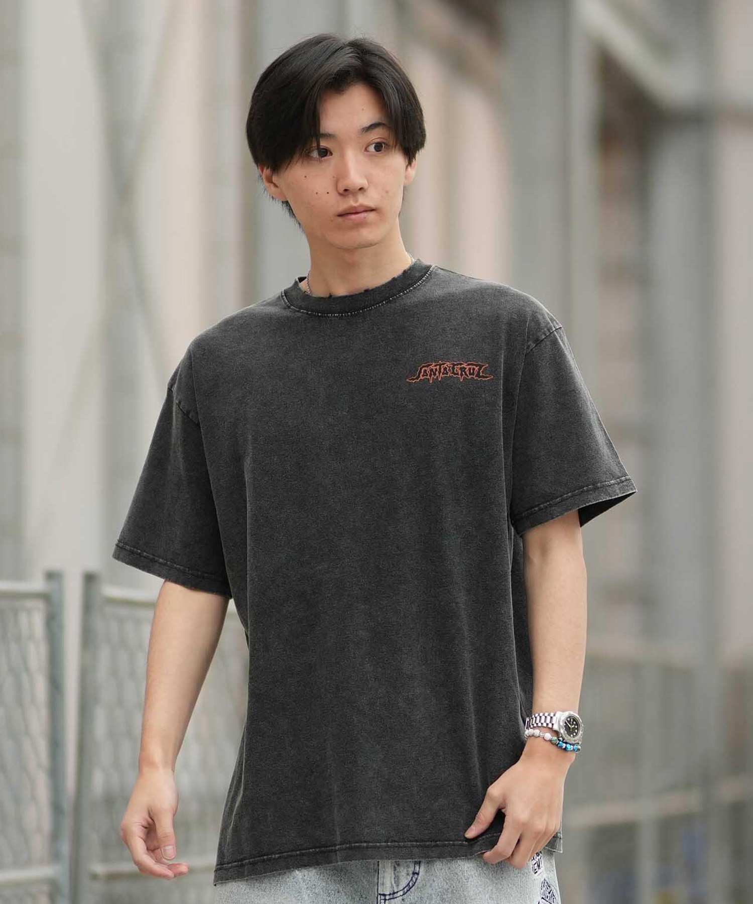 SANTA CRUZ サンタクルーズ 半袖 Tシャツ メンズ 古着風 ヴィンテージ