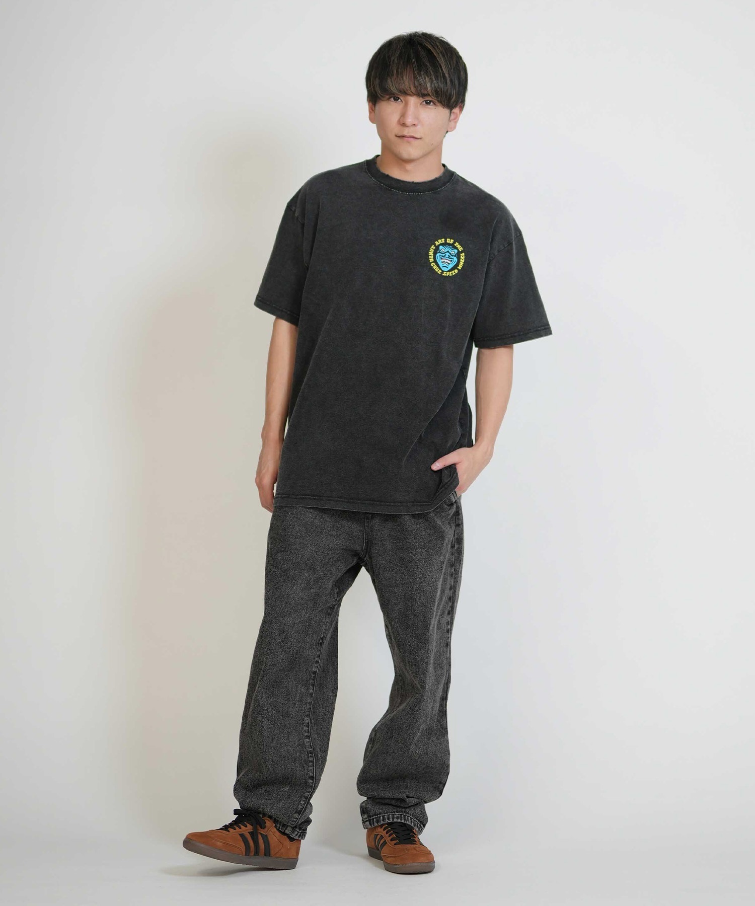 SANTA CRUZ サンタクルーズ 半袖 Tシャツ メンズ 古着風 ヴィンテージ