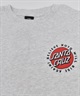 SANTA CRUZ サンタクルーズ 半袖 Tシャツ メンズ バックプリント PEACE FOR NOTO SS TEE 502262408 ムラサキスポーツ限定(WHITE-XS)