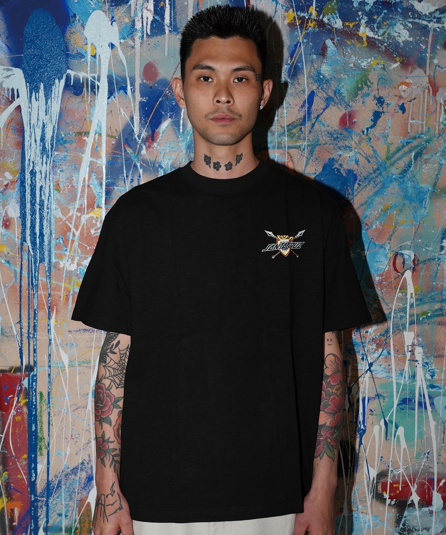 SANTA CRUZ サンタクルーズ 半袖 Tシャツ メンズ バックプリント SSWD