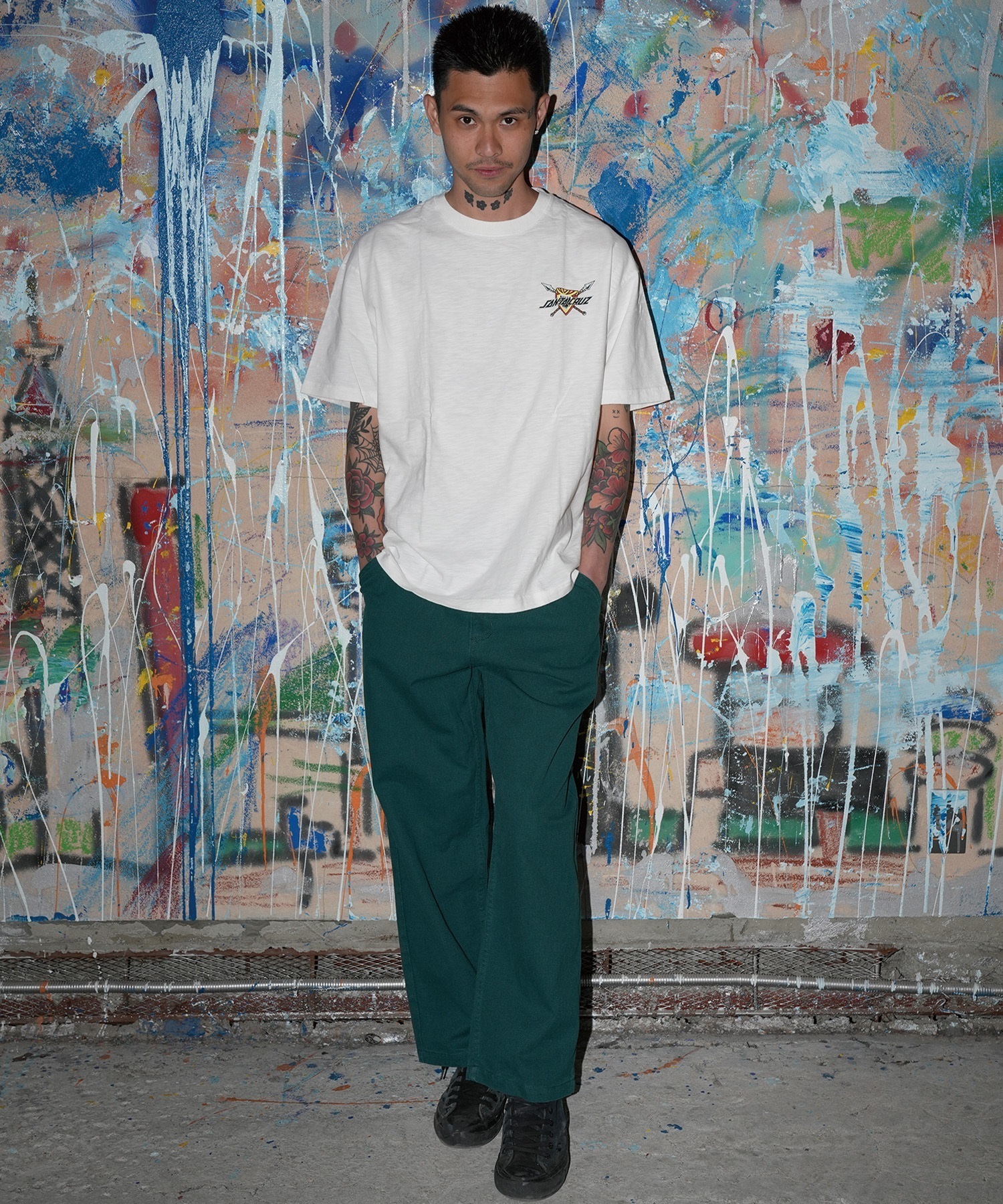 SANTA CRUZ サンタクルーズ 半袖 Tシャツ メンズ バックプリント SSWD
