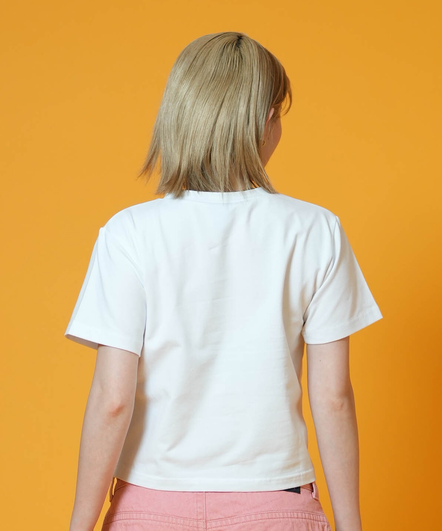 クロム好きな方おすすめ　レディース　半袖Tシャツ S SANTA CRUZ サンタクルーズ 半袖 Tシャツ レディース クロップド丈