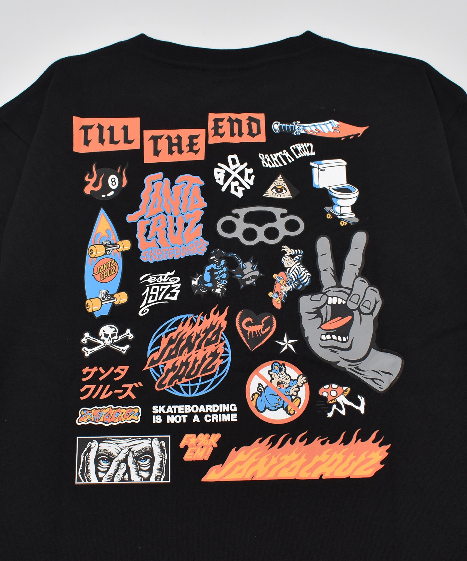 サンタクルーズ X スタンダードカルフォルニア レッチリ Tシャツ SANTA CRUZ サンタクルーズ 半袖 Tシャツ キッズ 子供 バックプリント