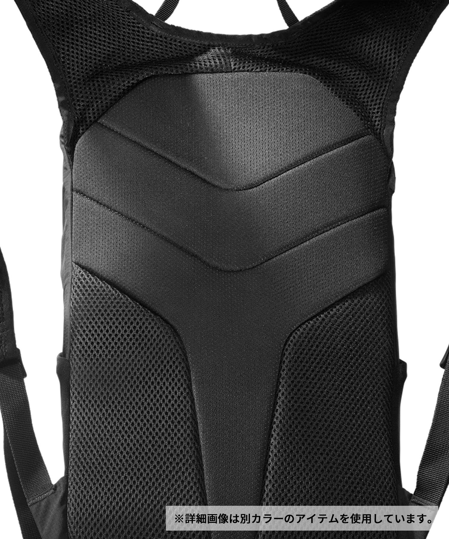 SALOMON サロモン バックパック リュック TRAILBLAZER 10 トレイル