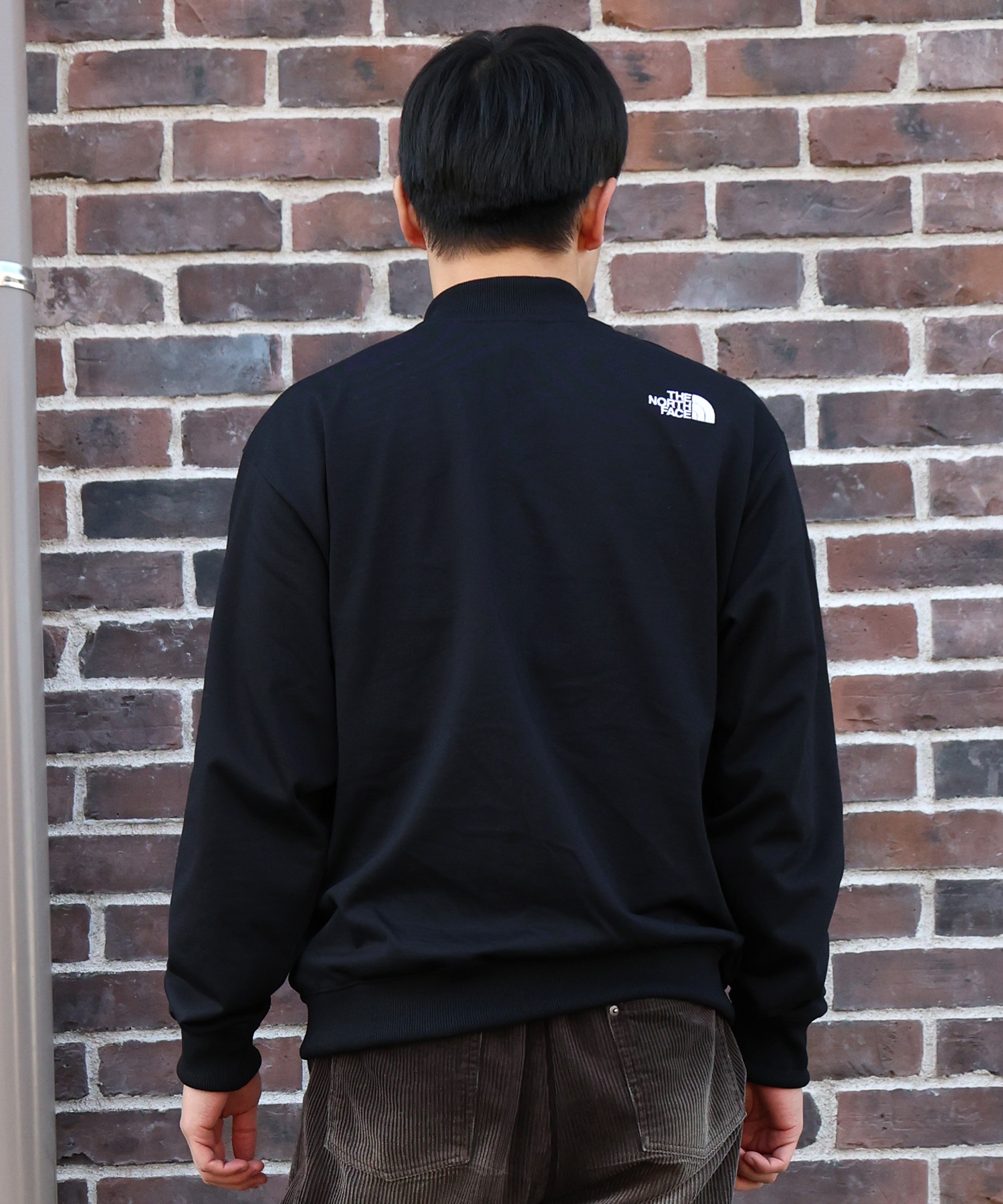 THE NORTH FACE ザ・ノース・フェイス アウター メンズ ボンバー 