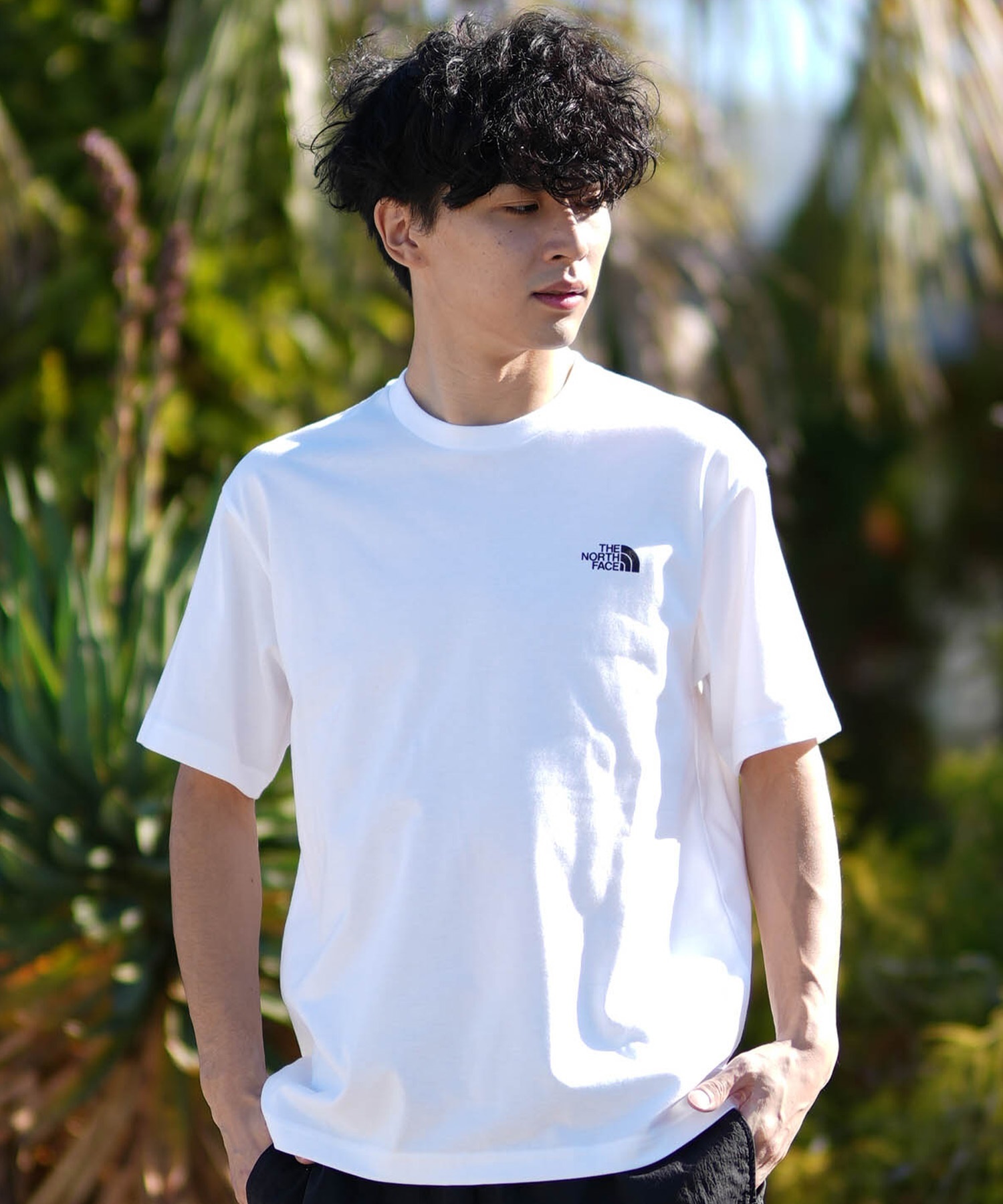 THE NORTH FACE ショートスリーブバックプリントロープTシャツ 楽天市場】THE NORTH FACE ノースフェイス 半袖 Tシャツ メンズ バック