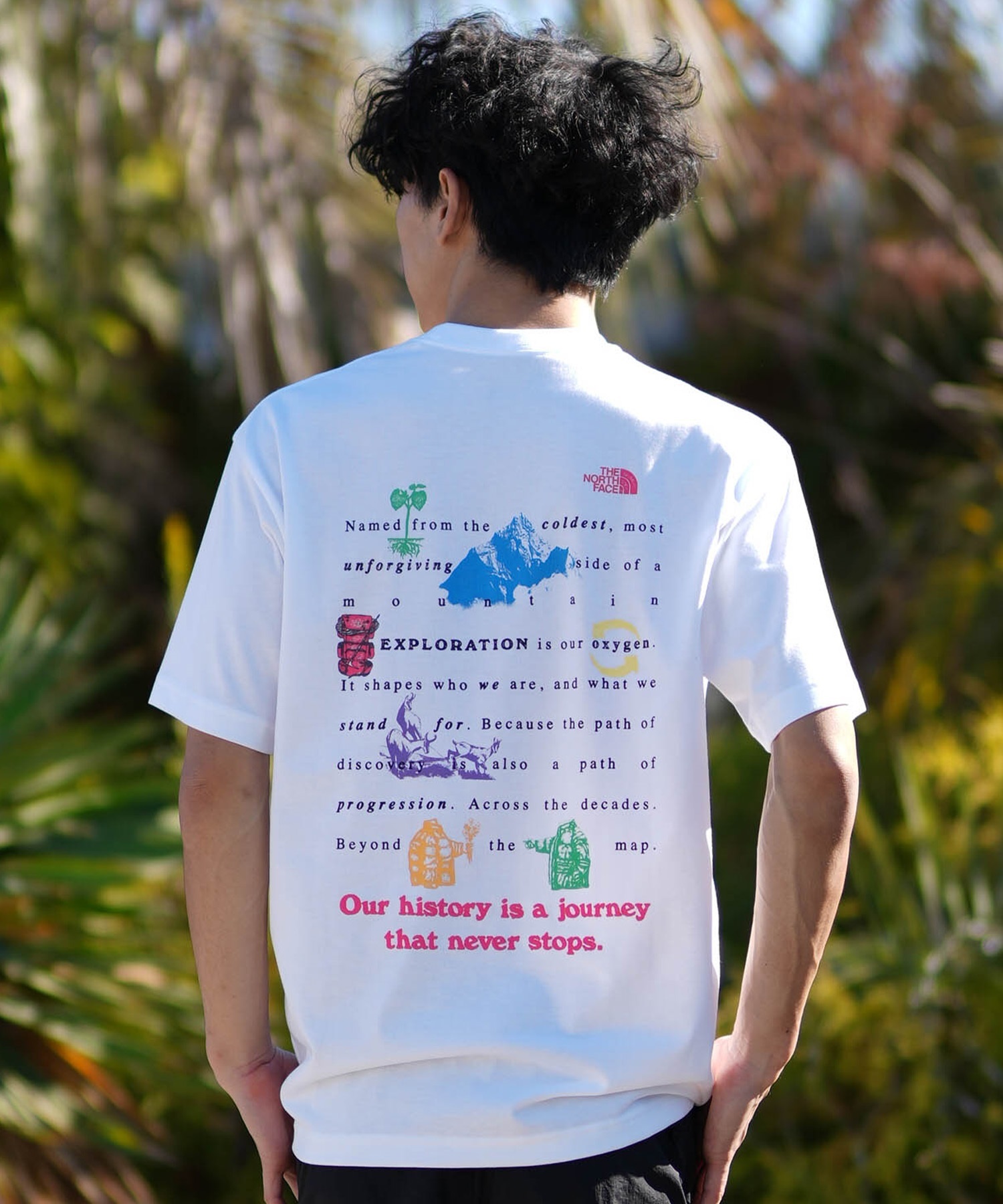 THE NORTH FACE ショートスリーブバックプリントロープTシャツ THE NORTH FACE ノースフェイス 半袖 Tシャツ メンズ バックプリント